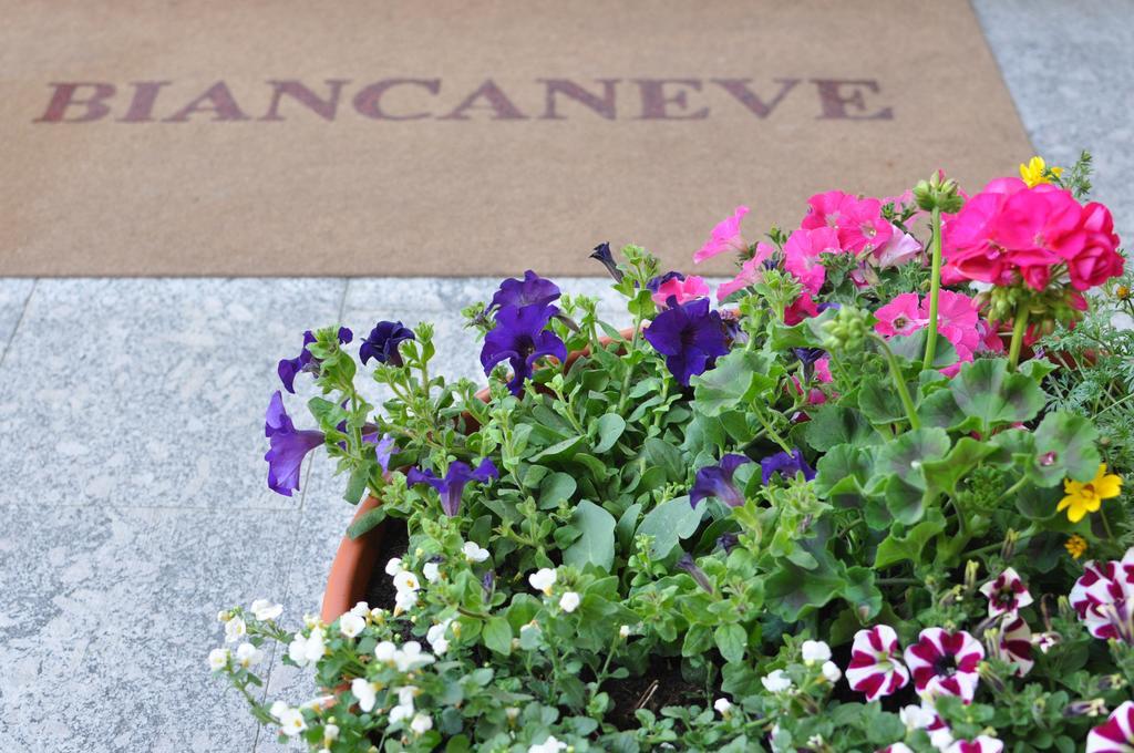 Biancaneve